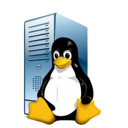 Small Linux VPS